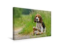 Premium Textil-Leinwand 45 x 30 cm Quer-Format Beagle-Welpe mit Teddy | Wandbild, HD-Bild auf Keilrahmen, Fertigbild auf hochwertigem Vlies, Leinwanddruck von Sonja Teßen