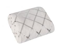 Eurofirany Kuscheldecke Plüschdecke Tagesdecke 170x210cm Überwurf Couchdecke Sofadecke Schlafzimmer Wohnzimmer Gästezimmer, Mikrofaser, Silber, Creme