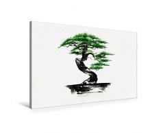 Premium Textil-Leinwand 90 x 60 cm Quer-Format Bonsai | Wandbild, HD-Bild auf Keilrahmen, Fertigbild auf hochwertigem Vlies, Leinwanddruck von Jitka Krause