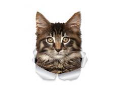 Winston & Bear Maine Coon Cat Wandaufkleber – 2 Stück – Tabby Maine Coon Kitty Cat WC Aufkleber – 3D Katze Auto Fenster und Stoßstange Aufkleber – Einzelhandelsverpackte Katze Liebhaber Geschenke