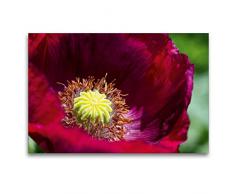 Premium Textil-Leinwand 120 cm x 80 cm quer Dunkelroter Mohn im Garten