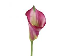 BELLAFIORA 01AMAZ025203 Kunstblumen, Arum, 85Â cm, Fuchsienrot