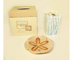 Coastal Collage Set von 3 Tissue Box Cover, Zahnbürstenhalter und Sand Dollar Seifenschale