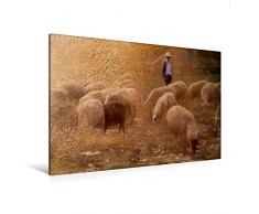 Premium Textil-Leinwand 120 x 80 cm Quer-Format Hirte und Herde | Wandbild, HD-Bild auf Keilrahmen, Fertigbild auf hochwertigem Vlies, Leinwanddruck von H.T.Manfred Zimmermann
