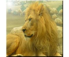Rikki Knight Beautiful Lion King Nahaufnahmen Design Art Keramik Fliesen, 4 von 4-Zoll