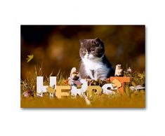 Premium Textil-Leinwand 90 x 60 cm Quer-Format Katzenkinder - Britisch Kurzhaar | Wandbild, HD-Bild auf Keilrahmen, Fertigbild auf hochwertigem Vlies, Leinwanddruck von Wabi Sabi Fotografie by Janina Bürger