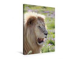 Premium Textil-Leinwand 50 x 75 cm Hoch-Format KATZEN PORTRAITS WeiÃe LÃ¶wen aus Afrika | Wandbild, HD-Bild auf Keilrahmen, Fertigbild auf hochwertigem Vlies, Leinwanddruck von N N