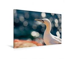 Premium Textil-Leinwand 120 x 80 cm Quer-Format Glitzerndes Wasser - Basstölpel | Wandbild, HD-Bild auf Keilrahmen, Fertigbild auf hochwertigem Vlies, Leinwanddruck von Katrin Streiparth