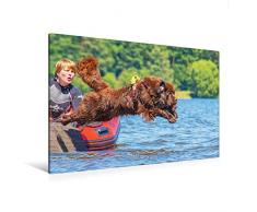 Premium Textil-Leinwand 120 x 80 cm Quer-Format Mit kühnem Sprung ins Wasser | Wandbild, HD-Bild auf Keilrahmen, Fertigbild auf hochwertigem Vlies, Leinwanddruck von Sigrid Starick