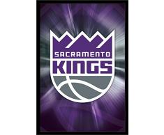 Unbekannt Trends International Wand Poster Pokémon Mega Evolutions, 22.375 X 34, 22.375 x 34