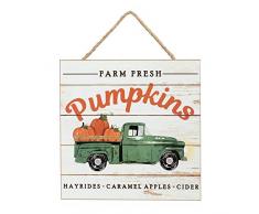 GiftWrap Etc. Geschenkpapier usw. Schild-Variation 10 x 10 Farm Fresh Pumpkins