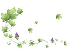 INDIGOS 4051719736908 Wandtattoo MF217 wunderschÃ¶ne Ranke Tribal Blatt Blume Weintrauben 60 x 37 cm