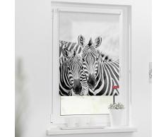 Lichtblick Rollo Klemmfix, 60 x 150 cm mit Motiv Zebra - Schwarz Weiß Montage ohne Bohren, moderner Sicht-und Sonnenschutz, Motivrollo, lichtdurchlässig & Blickdicht