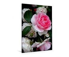 Premium Textil-Leinwand 80 x 120 cm Hoch-Format Wunderschöne Rosen im Garten | Wandbild, HD-Bild auf Keilrahmen, Fertigbild auf hochwertigem Vlies, Leinwanddruck von Martina Cross