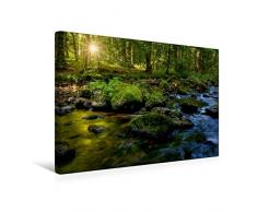 Calvendo Premium Textil-Leinwand 45 cm x 30 cm quer, EIN Bach im Harz | Wandbild, Bild auf Keilrahmen, Fertigbild auf echter Leinwand, Leinwanddruck Menschen Menschen