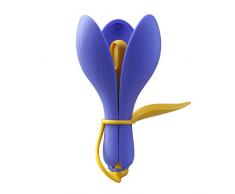 Zeal l221vy Messlöffel Set, Violett/Gelb