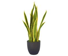 63,5 cm Evergreen Kunstpflanze Bogenhanf Schlange für Home & Office Décor Grün Farbe 25-inch Gelb
