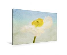 CALVENDO Premium Textil-Leinwand 90 cm x 60 cm quer, Summerfeeling | Wandbild, Bild auf Keilrahmen, Fertigbild auf echter Leinwand, Leinwanddruck: Romantisches Blumenbild Natur Natur