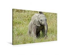 Calvendo Premium Textil-Leinwand 90 cm x 60 cm Quer, Ein Motiv aus Dem Kalender Elefantenkinder. Spielplatz in der Savanne | Wandbild, Bild auf Keilrahmen. Leinwanddruck: Kleiner Jumbo Tiere Tiere