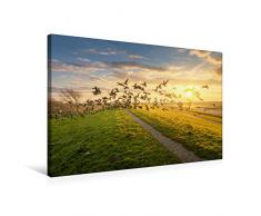 Premium Textil-Leinwand 75 x 50 cm Quer-Format Wildgänse am Deich in Harlesiel | Wandbild, HD-Bild auf Keilrahmen, Fertigbild auf hochwertigem Vlies, Leinwanddruck von Rainer Ganske Fotografie