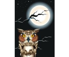 Indigos 4051719777581 Wandtattoo MF508 Blick Eule bei Vollmond 60 x 41 cm