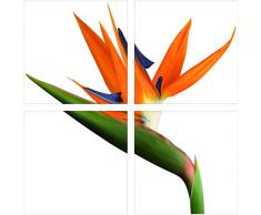 Plage 260521 Fliesen Sticker Smooth, Paradiesvogel, 4 Blätter, 14,5 x 14,5 cm