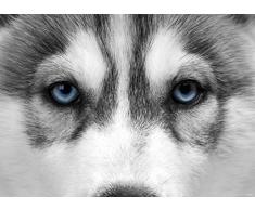 AG Design FTM 0862 Wolf Papier Fototapete, mehrfarbig, 160 x 115 cm