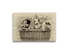 Premium Textil-Leinwand 45 x 30 cm Quer-Format Ein Korb voll Glück | Wandbild, HD-Bild auf Keilrahmen, Fertigbild auf hochwertigem Vlies, Leinwanddruck von Sonja TeÃen