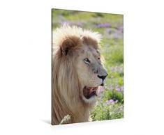 Premium Textil-Leinwand 80 x 120 cm Hoch-Format KATZEN PORTRAITS Weiße Löwen aus Afrika | Wandbild, HD-Bild auf Keilrahmen, Fertigbild auf hochwertigem Vlies, Leinwanddruck von N N