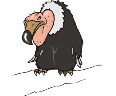 Indigos 4051719868845 Wandtattoo ME253 ziemlich scheuer Vogel 96 x 93 cm