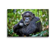 Premium Textil-Leinwand 75 x 50 cm Quer-Format Porträt eines wilden Schimpansen, Pan troglodytes, Kibale-Nationalpark, Fort Portal, Uganda, Afrika | Wandbild, HD-Bild auf Keilrahmen, Fertigbild auf hochwertigem Vlies, Leinwanddruck von Jürgen Ritterbach