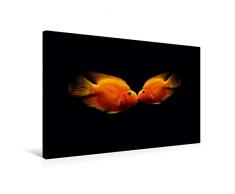 Calvendo Premium Textil-Leinwand 75 cm x 50 cm quer, EIN Kuss unter Wasser | Wandbild, Bild auf Keilrahmen, Fertigbild auf echter Leinwand, Leinwanddruck: Exotische Fische Tiere Tiere