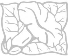 INDIGOS/Wandaufkleber-e183 hübsche Trompetenblume 120x96 cm- glasdekor, Vinyl, 120 x 96 x 1 cm