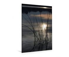 Calvendo Premium Textil-Leinwand 80 cm x 120 cm hoch, EIN Motiv aus dem Kalender Stille - Natur im Winterschlaf | Wandbild, Bild auf Keilrahmen, Fertigbild GrÃ¤ser im Wasser Natur Natur