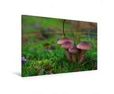 Premium Textil-Leinwand 120 x 80 cm Quer-Format Hallimasch bot. Armillaria mellea | Wandbild, HD-Bild auf Keilrahmen, Fertigbild auf hochwertigem Vlies, Leinwanddruck von Avianaarts Design Fotografie by Tanja Riedel