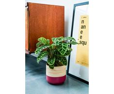 Ivyline Blumentopf, Bambus, Rose, 28 cm