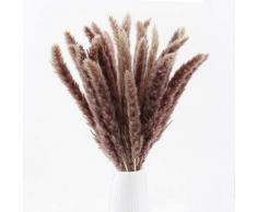 XYXCMOR getrocknetes Pampasgras, 43 cm hoch, natürliche Phragmiten, Kommunis, künstliche Schilfrohrblumen, Strauß für Hochzeiten, Vasen, Türkranz, Deko, Braun, 30 Stück
