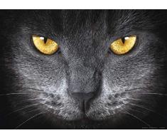 Fototapete FTNm2640 Photomurals Augen