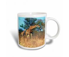3dRose Cape Kruger Nationalpark, und die Giraffe, mit africa-af42 mgl0024-miva Kaffeebecher, Keramik, Weiß, 10.16 cm x 7,62 x-Uhr
