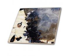 3dRose Fliesen, 12-inch-Ceramic