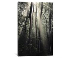 iCanvasART 1 Stück Woodland Sun Leinwandbild von Nicholas Bell Fotografie, 0.75 x 26 x 40-Inch