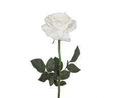 BELLAFIORA 01AMAZ021414 Kunstblumen, Rose, 85Â cm, WeiÃ