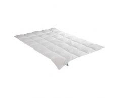 Irisette Daunendecke Nora medium mono Ganzjahresdecke, aus 100% Baumwolle 100% Daune mit Aufbewahrungstasche, 200 x 200 cm, weiÃ