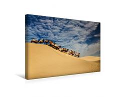 Calvendo Premium Textil-Leinwand 45 cm x 30 cm quer, Mühsam | Wandbild, Bild auf Keilrahmen, Fertigbild auf echter Leinwand, Leinwanddruck: Auch für Kamele ist Wüstensand kein Kinderspiel Natur Natur