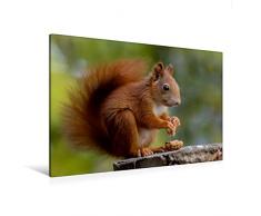 Premium Textil-Leinwand 120 x 80 cm Quer-Format Eichhörnchen Kinder - Zufriedener Blick | Wandbild, HD-Bild auf Keilrahmen, Fertigbild auf hochwertigem Vlies, Leinwanddruck von Tine Meier