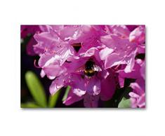 Premium Textil-Leinwand 90 cm x 60 cm quer Hummel in rosa Rhododendron Blüte | Wandbild, Bild auf Keilrahmen, Fertigbild auf echter Leinwand, Leinwanddruck: Insekten und Pflanzen (CALVENDO Hobbys);CALVENDO Hobbys