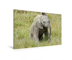 Calvendo Premium Textil-Leinwand 120 cm x 80 cm Quer, Ein Motiv aus Dem Kalender Elefantenkinder. Spielplatz in der Savanne | Wandbild, Bild auf Keilrahmen. Leinwanddruck: Kleiner Jumbo Tiere Tiere