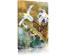 Pixxprint Leinwandbild, Bunt