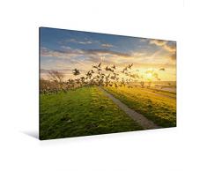 Premium Textil-Leinwand 120 x 80 cm Quer-Format Wildgänse am Deich in Harlesiel | Wandbild, HD-Bild auf Keilrahmen, Fertigbild auf hochwertigem Vlies, Leinwanddruck von Rainer Ganske Fotografie