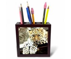 3dRose PH 218762 _ 1 Raw Hide Look Hintergrund mit Tribal Indian Artefakte und Decke Fliesen Stifthalter, 12,7 cm